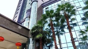 A modern building with tall palm trees in front. - Wanxing Hotel (Qu County)