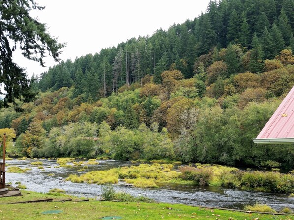 A river flowing through a forested area with a building on the right. - A River Cottage for Every Season (Mapleton)