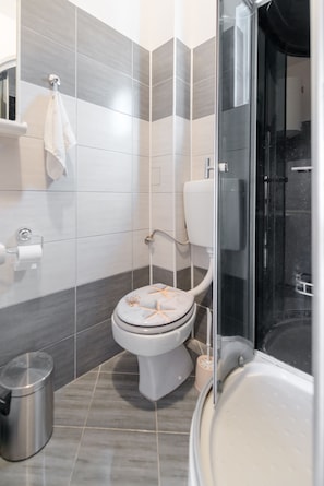 Combined shower/tub, hair dryer, towels, soap