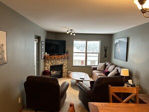 Televisión de pantalla plana, chimenea y reproductor de DVD 