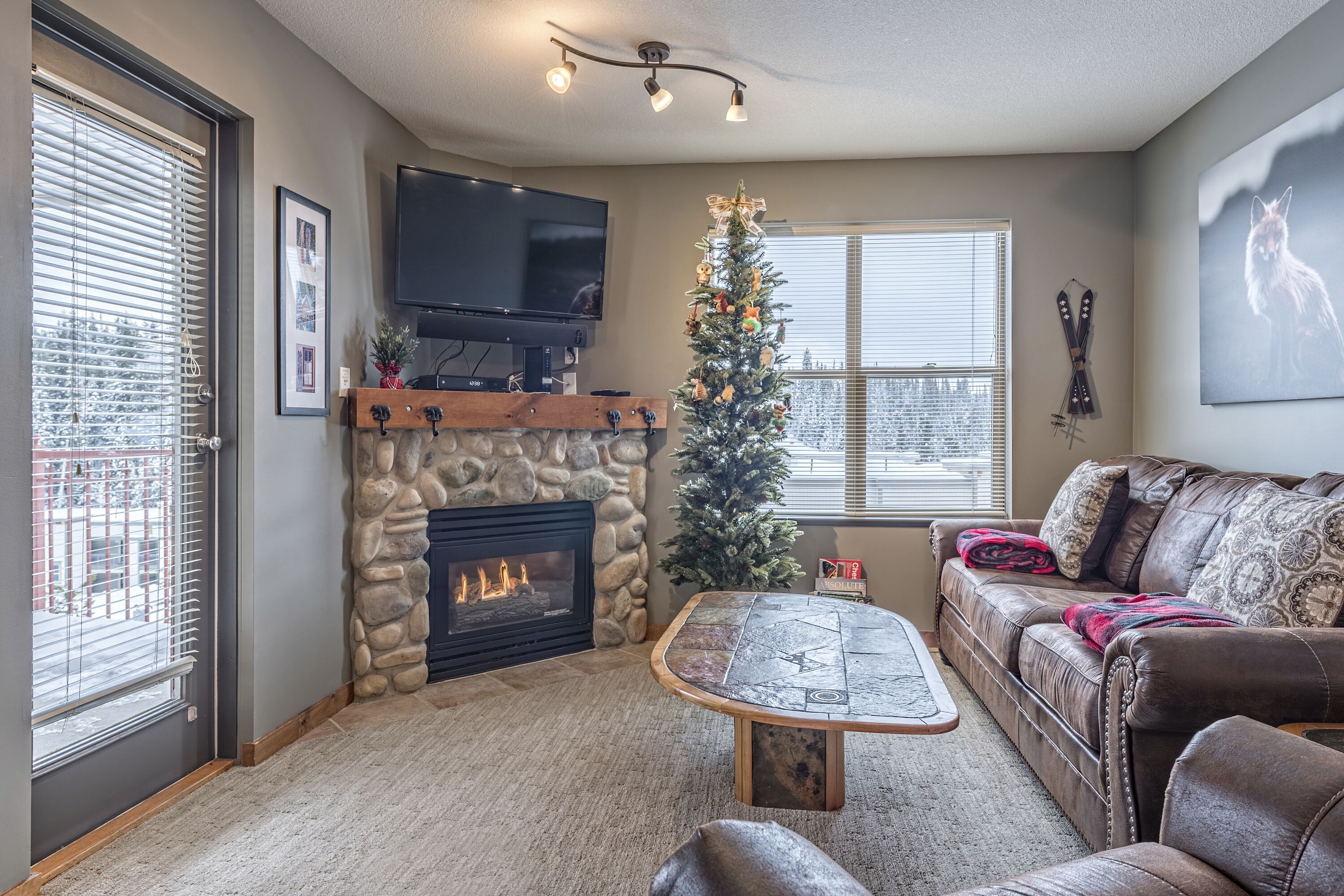 Flat-screen TV, fireplace, DVD player