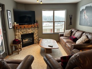 Televisión de pantalla plana, chimenea y reproductor de DVD 