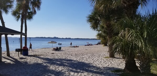 Una playa con palmeras, una zona cubierta y gente relajándose.