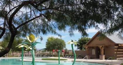 Takapihasi keidas odottaa ..., Kaunis koti palkittu yhteisössä