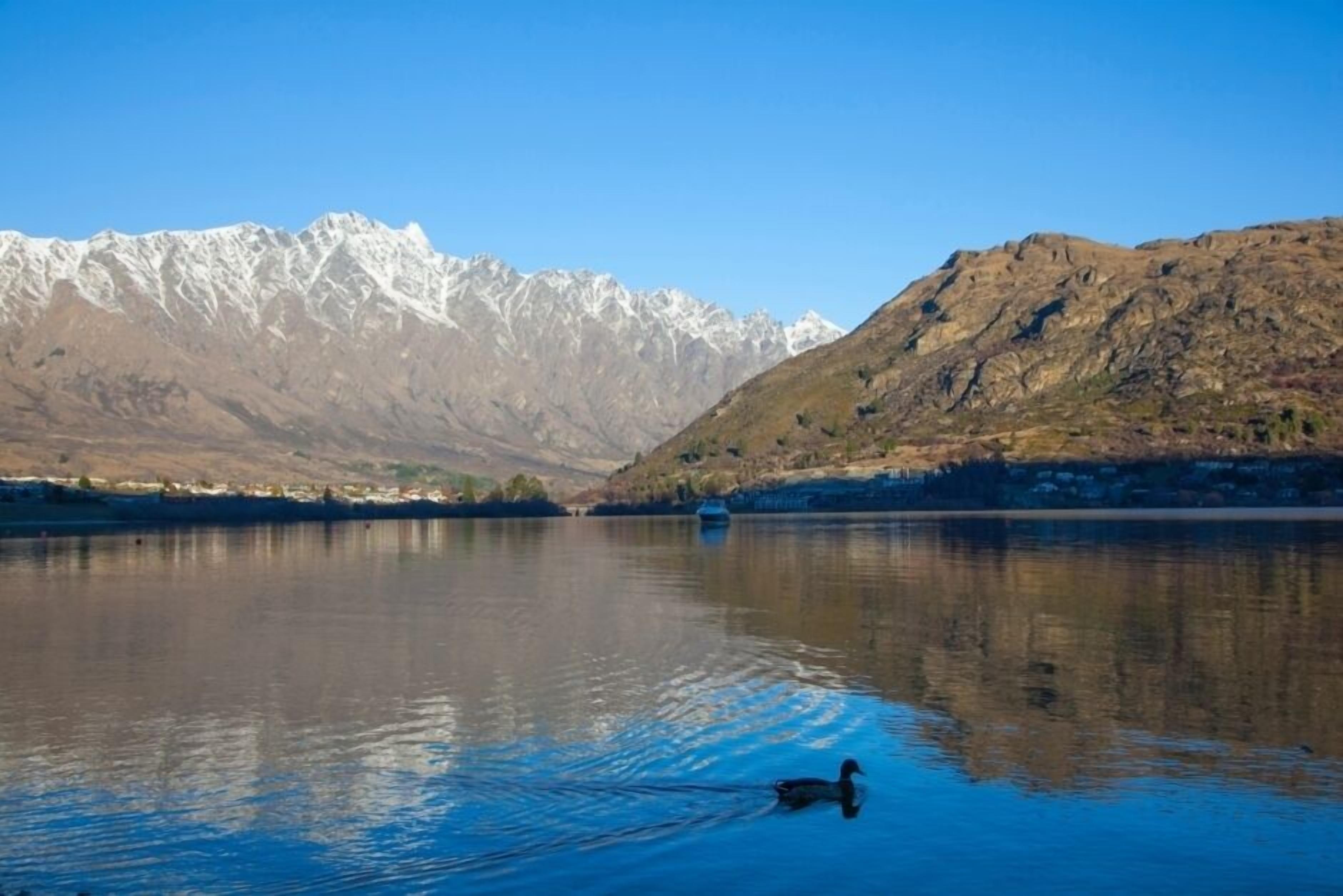 A calm lake with a duck swimming, surrounded by mountains and a clear sky.