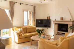 Smart TV, fireplace, books, stereo