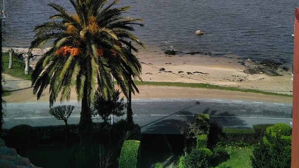 Platja amb una palmera al primer pla, un camí al pla mitjà i una massa d'aigua amb vaixells al fons.