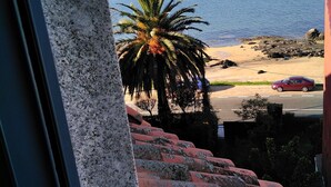 Vista costanera des d'una finestra amb palmera, una platja i un cotxe vermell a la carretera.