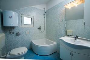 Combined shower/tub, hair dryer, bidet, towels