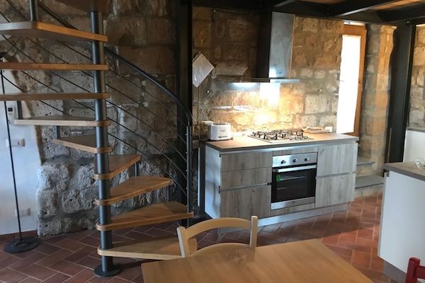 Refrigerador, horno, placa de cocina, lavavajillas