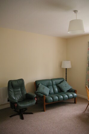 Televisión, chimenea, reproductor de DVD y libros 