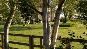 A fenced garden with birch trees and a grassy lawn. - Tastefully renovated, ideally located cottage for a peaceful or active break. (Cornhill-on-Tweed)