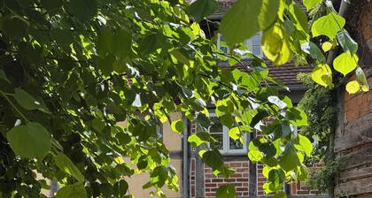 Lovingly restored half-timbered house in a romantic city center location