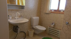 Shower, hair dryer, soap, toilet paper