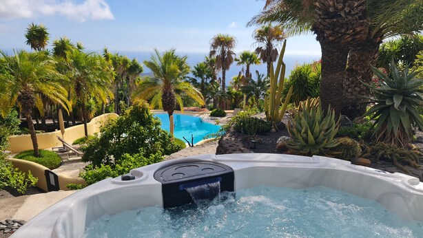 Een jacuzzi omringd door tropische planten en een zwembad.