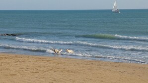A beach with waves, a sailboat, and a dog on the shore. - 2 bedroom lovely home in Ragusa RG (Ragusa RG)