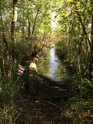 Een smalle waterweg, omzoomd door weelderige begroeiing en bomen.