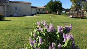 Un quartier résidentiel avec une pelouse verdoyante, un petit arbre et un bâtiment doté d’un toit en tuiles.