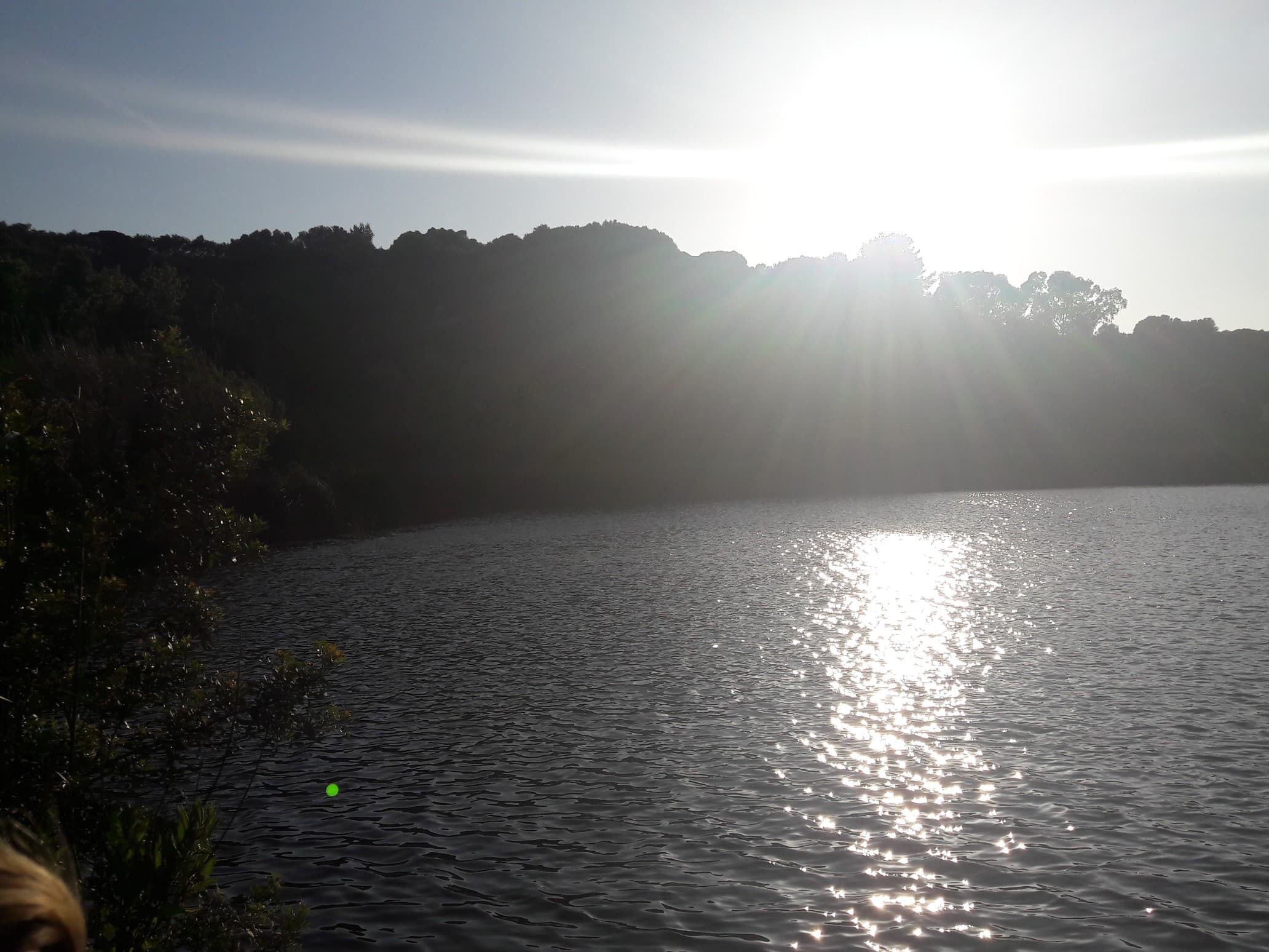 A calm lake with sunlight reflecting off the water's surface, surrounded by trees.