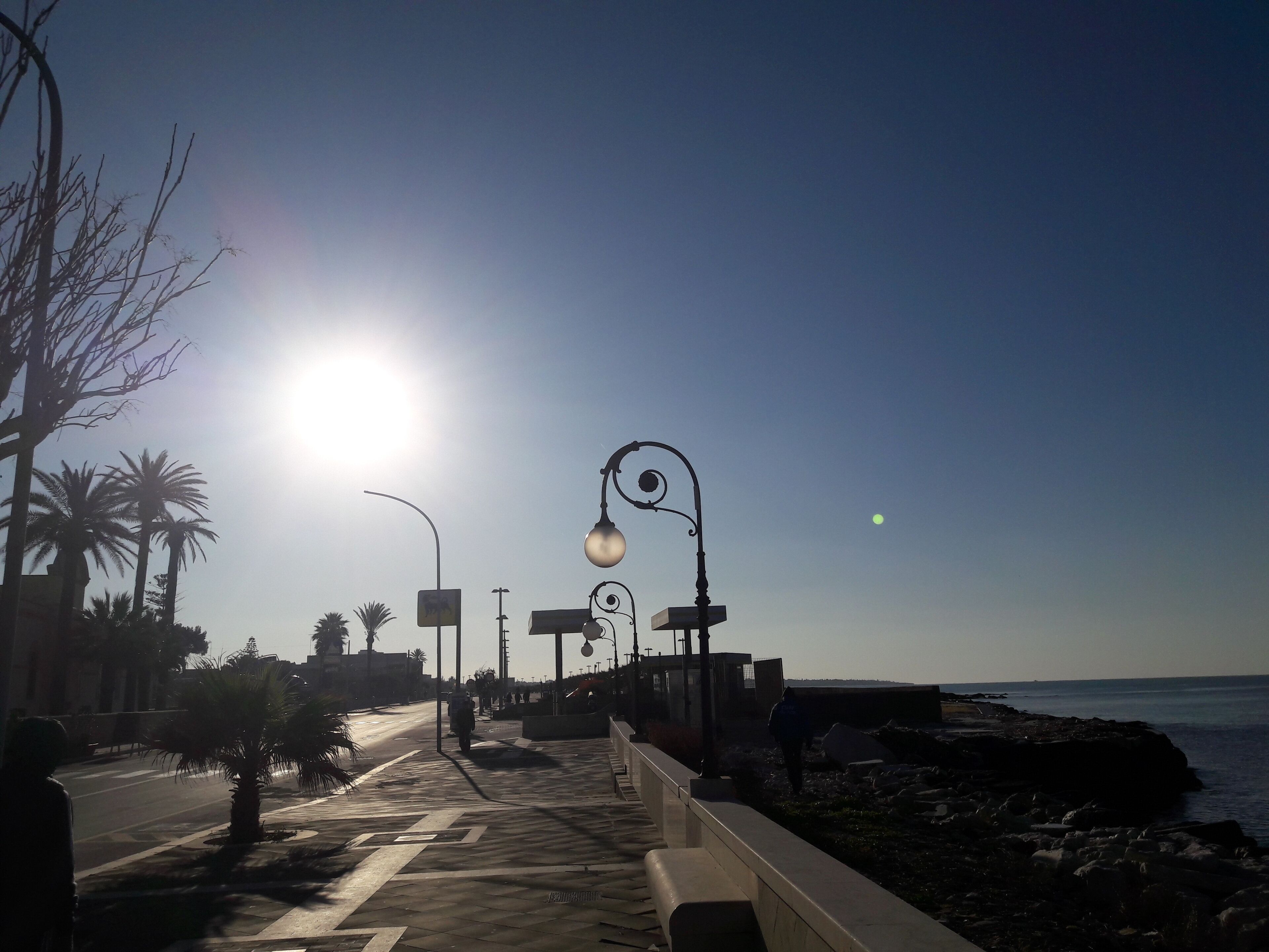 A paved walkway with street lamps, palm trees, and a view of the sea.