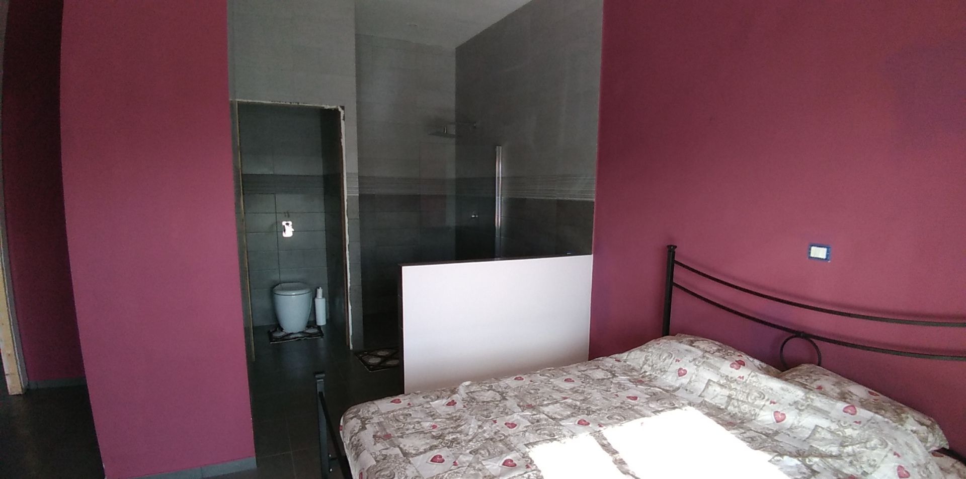 A bedroom with a bed, a bathroom with a toilet and shower, and a red wall.