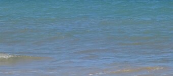 Encantadora casa familiar en paz, entre palmeras y marismas