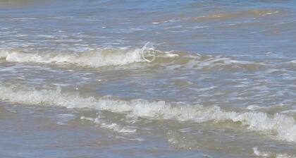 Charming family house in peace, between palges and salt marshes