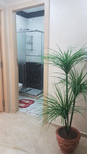 Hair dryer, towels, soap, shampoo