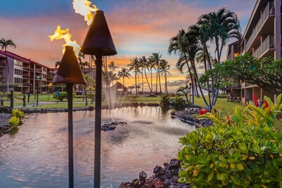 PK L108 Remodeled OceanFront 1BD