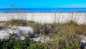A beach with sand dunes and sparse vegetation. - Beachfront Condo With Panoramic Views of the Gulf Plus Beach Gear, Grill & Wifi (Indian Rocks Beach)