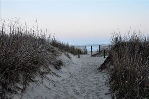 Walk along the serene beach, flanked by tall grass, and enjoy the peaceful atmosphere.