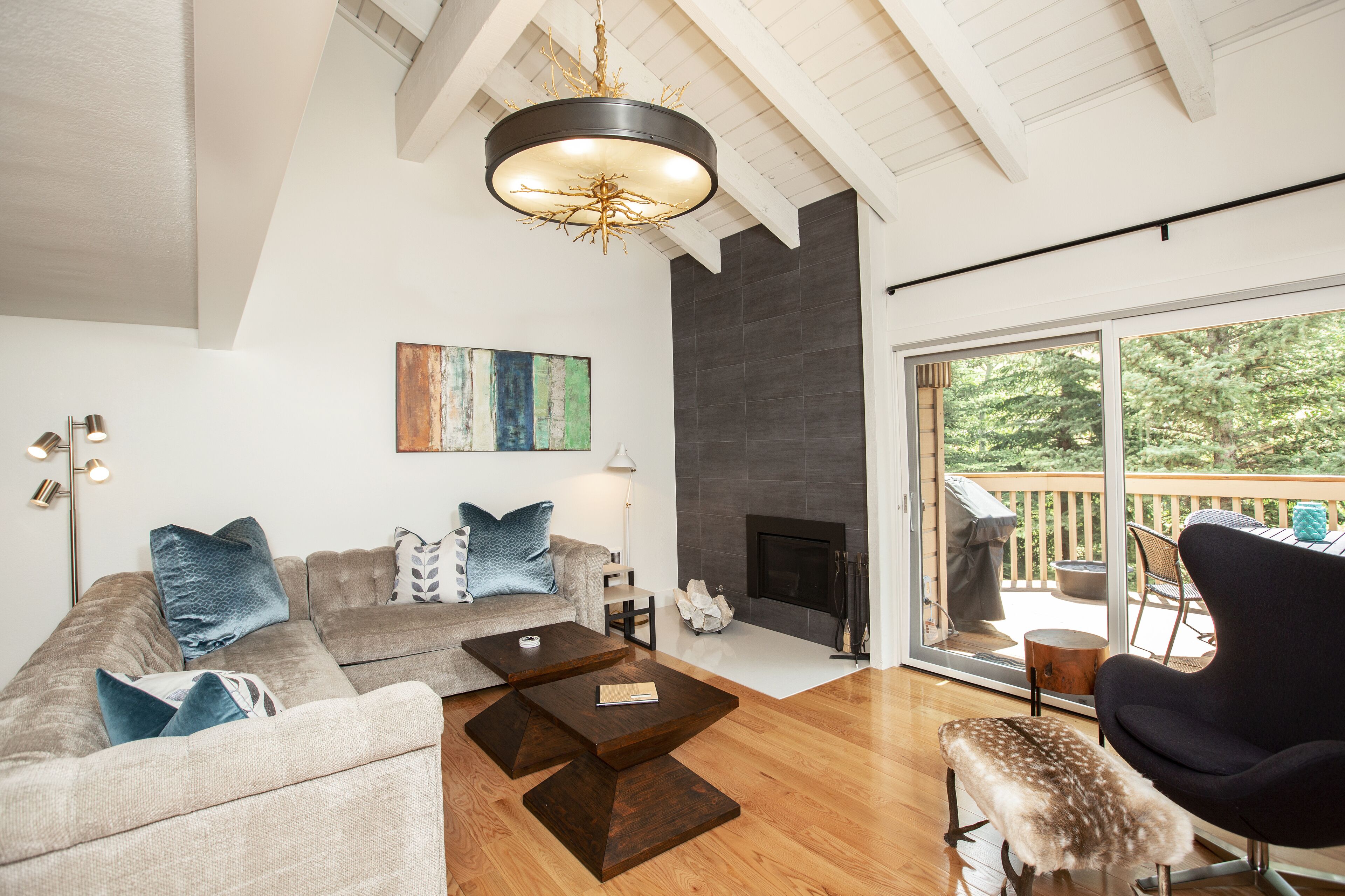 Smart TV, fireplace, books