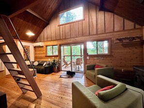 TV, fireplace, DVD player, books
