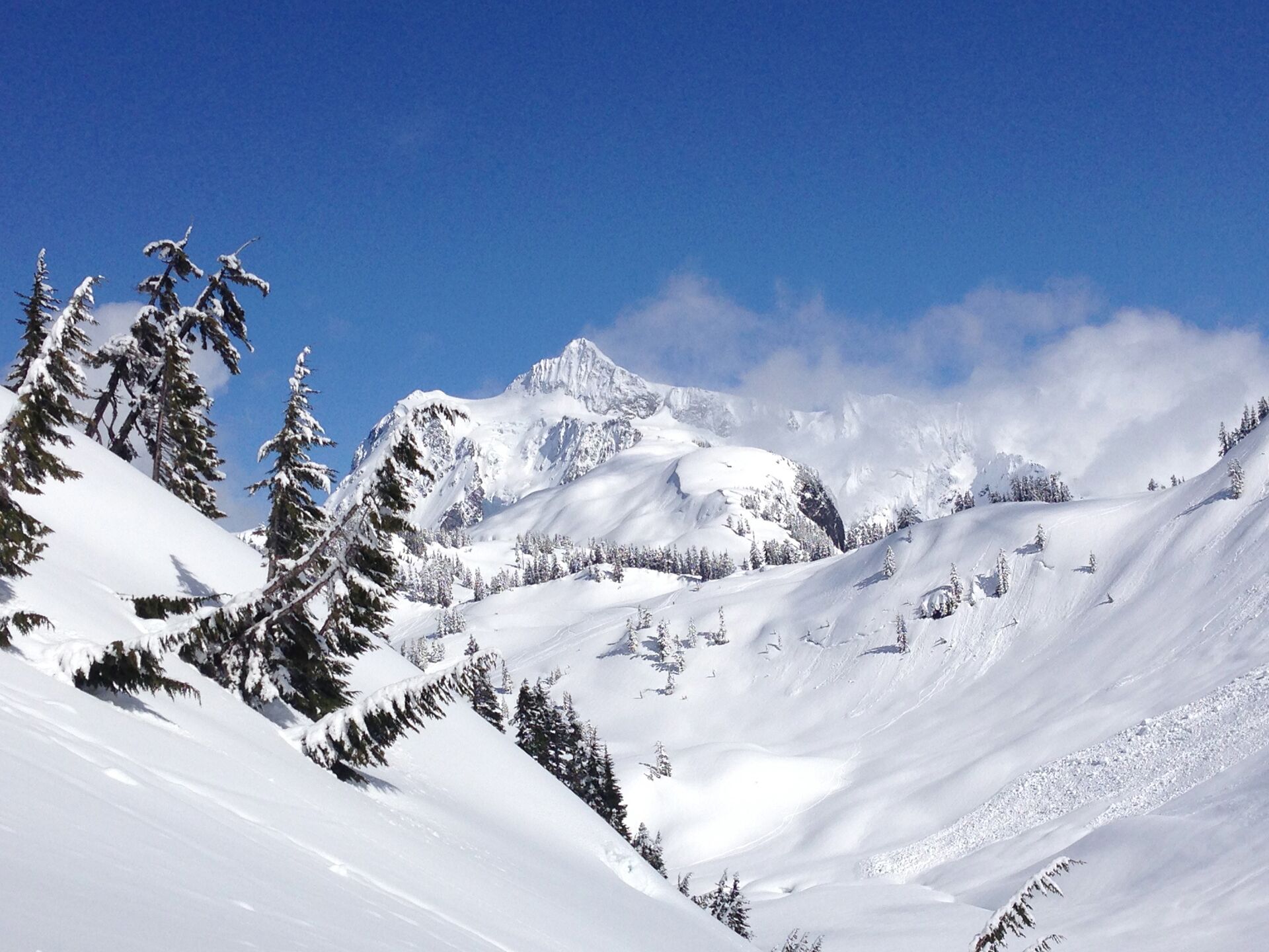 A snow-covered mountain landscape with trees and a clear sky.