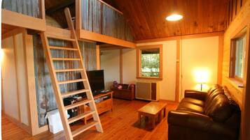 TV, fireplace, DVD player, books