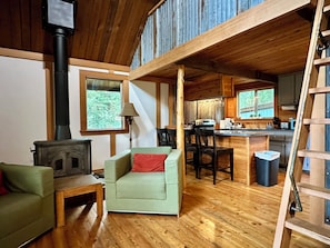 TV, fireplace, DVD player, books - Charming A-Frame Cabin With Spectacular CHURCH Mountain VIEWS!!! (Maple Falls)