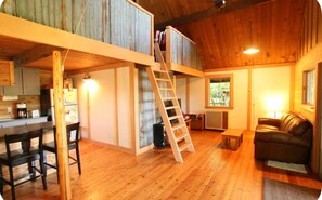 Fernseher, Kamin, DVD-Player, Bücher