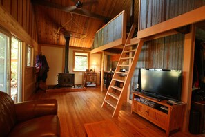 TV, fireplace, DVD player, books