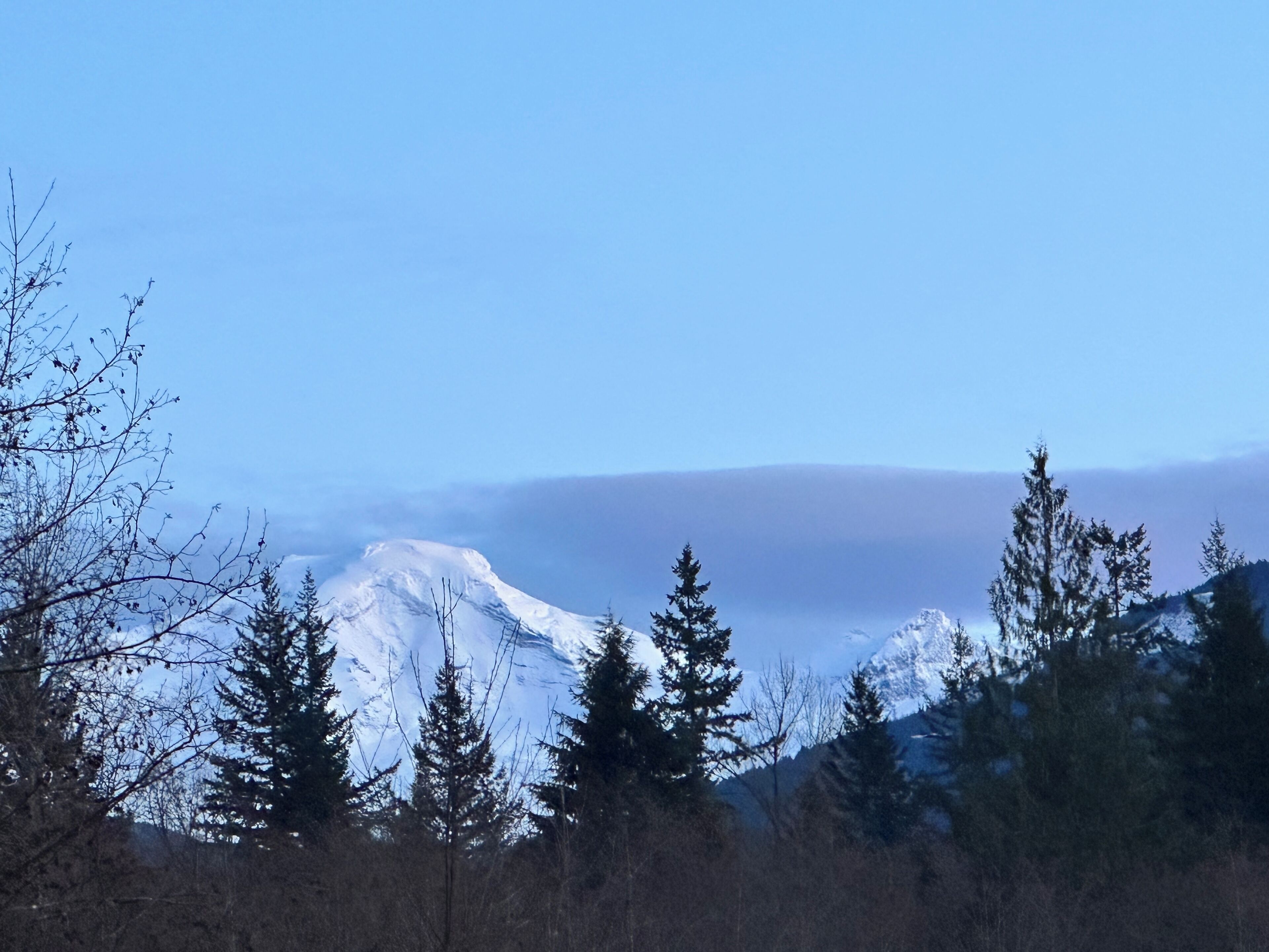 Paesaggio montano con cime innevate, alberi sempreverdi e cielo sereno.