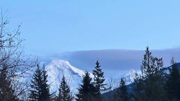 Paesaggio montano con cime innevate, alberi sempreverdi e cielo sereno.