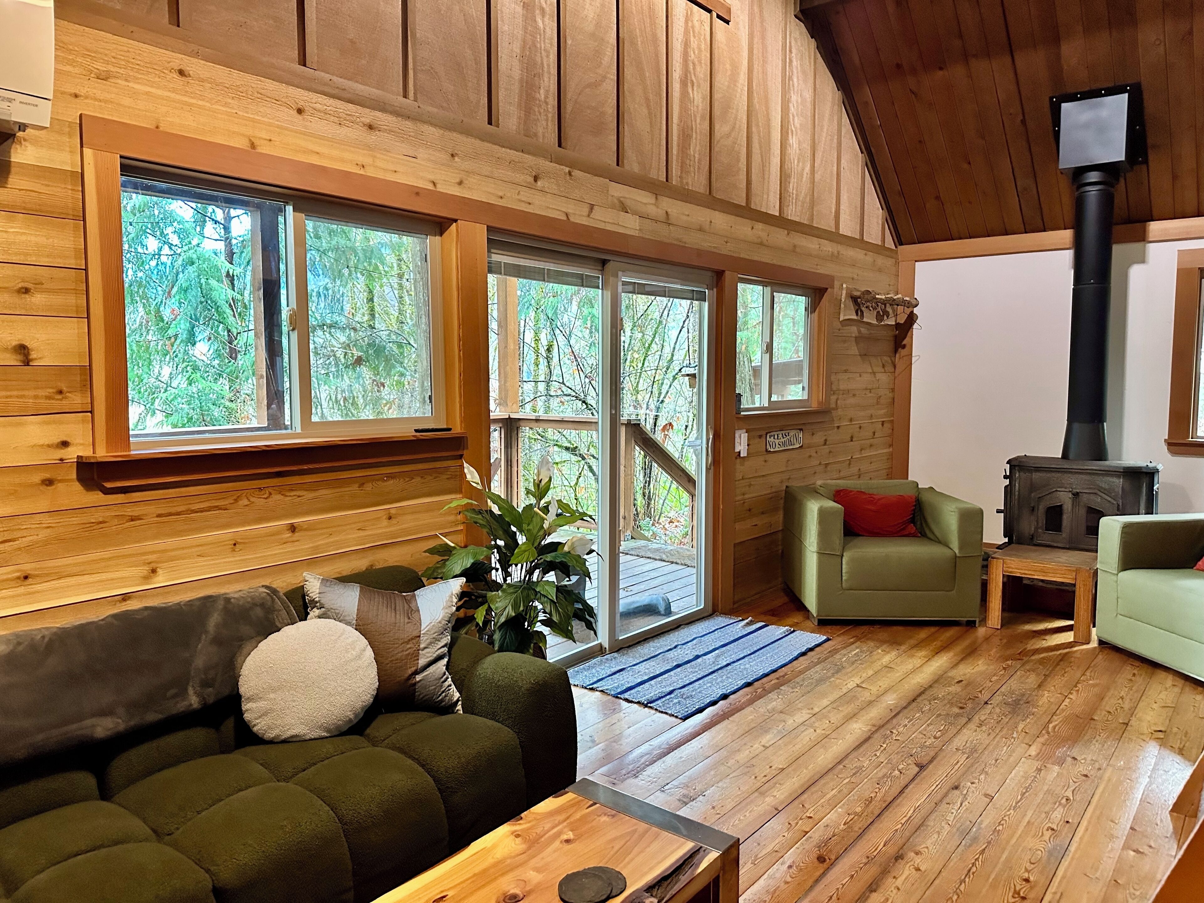 电视、壁炉、DVD 播放器、书