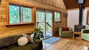 TV, fireplace, DVD player, books