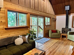 Televisión, chimenea, reproductor de DVD y libros 