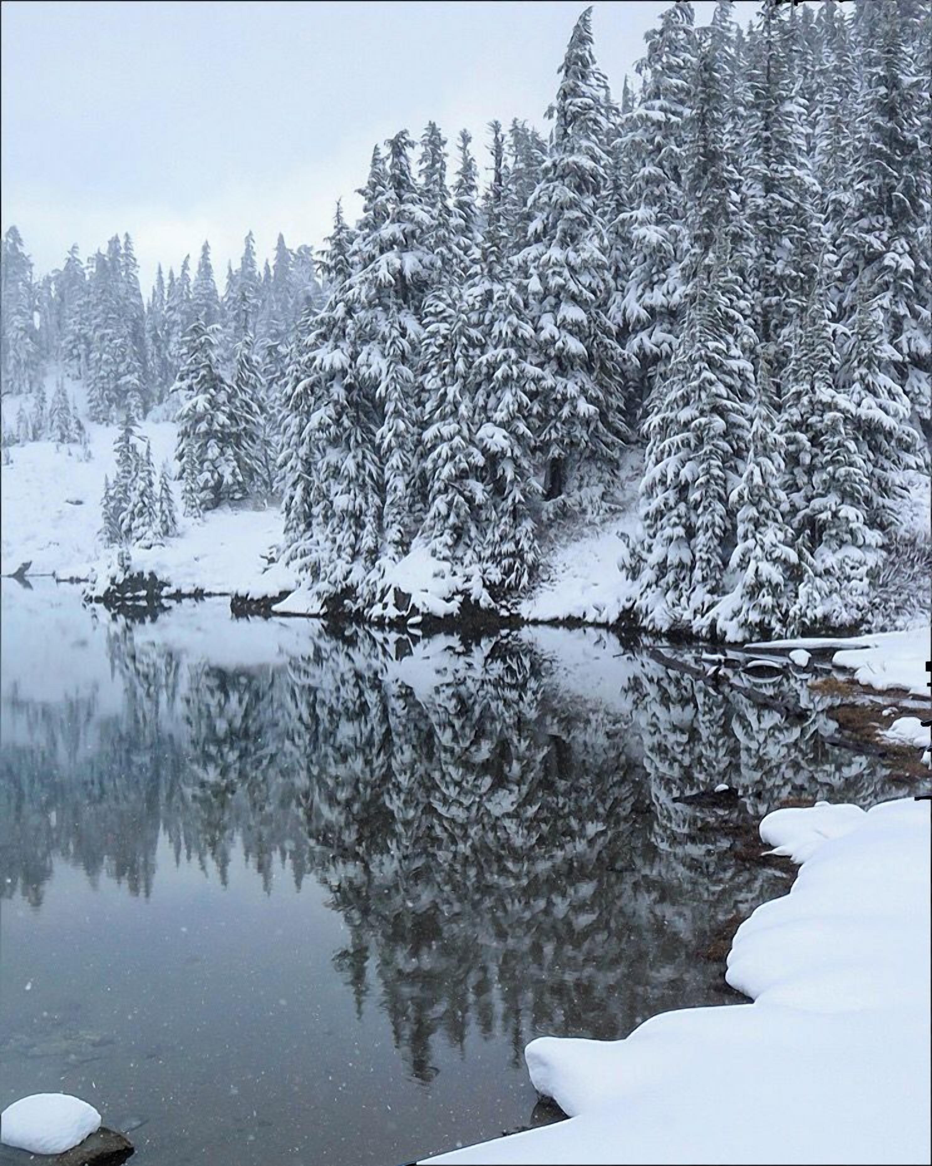 Eine friedliche Winterlandschaft mit schneebedeckten Bäumen und einem stillen See, der die Bäume spiegelt.