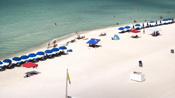 A beach with white sand, clear turquoise water, and a row of blue umbrellas. - Beach, Sand, Shells, And An Ocean As Far As You Can See At Our Cozy Condo in PCB (Panama City)