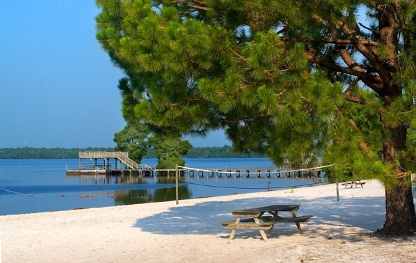 Een strand met een houten steiger, picknicktafels en een grote dennenboom.