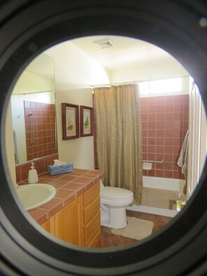 A bathroom with a toilet, sink, and shower area. - Golf ... Bird Watching, Biking, Hiking, Sunsets, Star Gazing ... Oh, great Golf (Green Valley)