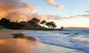 Ein Strand mit ruhiger See, Bäumen und hügeliger Landschaft im Hintergrund.