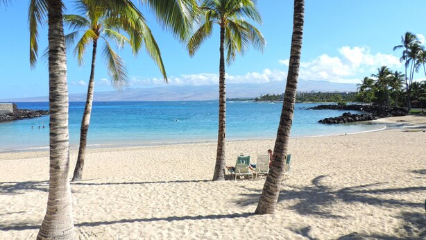 A beach with palm trees, clear blue water, and a few lounge chairs. - Views, Views, Views Chef's Kitchen, Ample Supplies, Home Office, Weekly Discount (Kamuela)