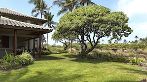 A house with a covered porch, surrounded by a well-maintained lawn and various tropical plants. - Views, Views, Views Chef's Kitchen, Ample Supplies, Home Office, Weekly Discount (Kamuela)